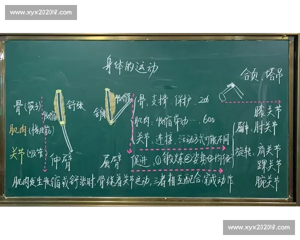 提升运动表现的科学方法与实用技巧解析