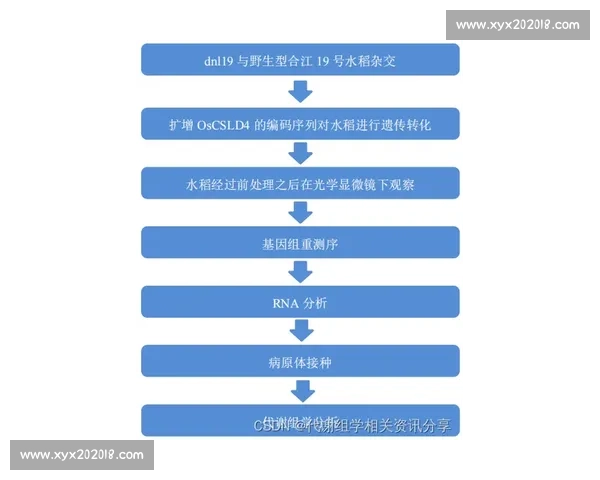 淘汰机制揭秘：选手角逐激烈全程生存考验与出局策略分析