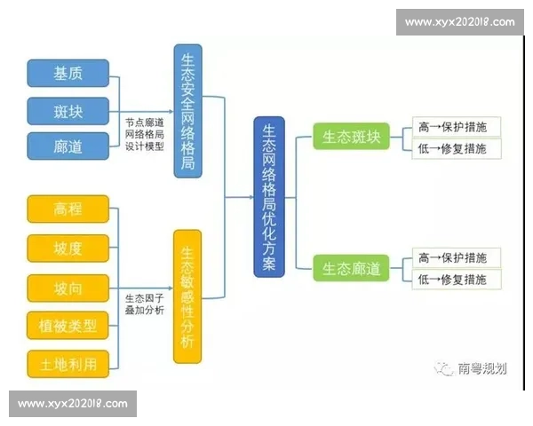 体育团队表现深度解析与战略优化研究方案