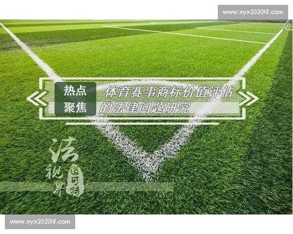 体育赛事运营全流程解析与商业价值提升策略研究 体育赛事运营全流程解析与商业价值提升策略研究